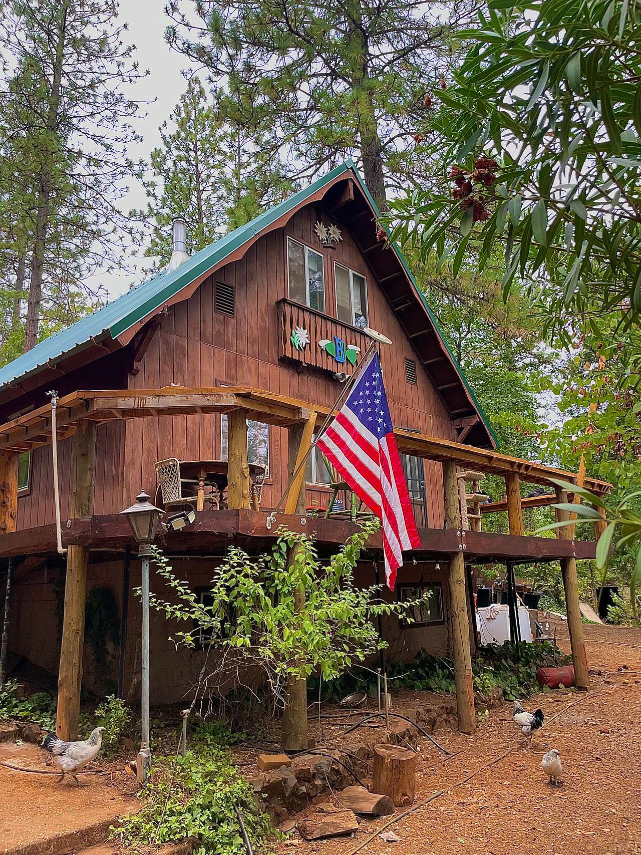 Off-Grid Mtn Getaway in the Pines