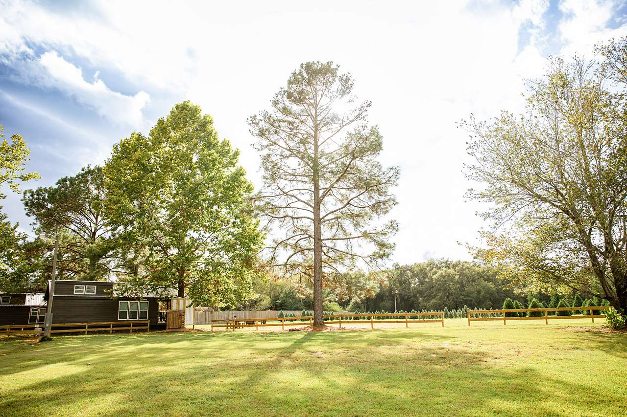 Cabins At Wheelers