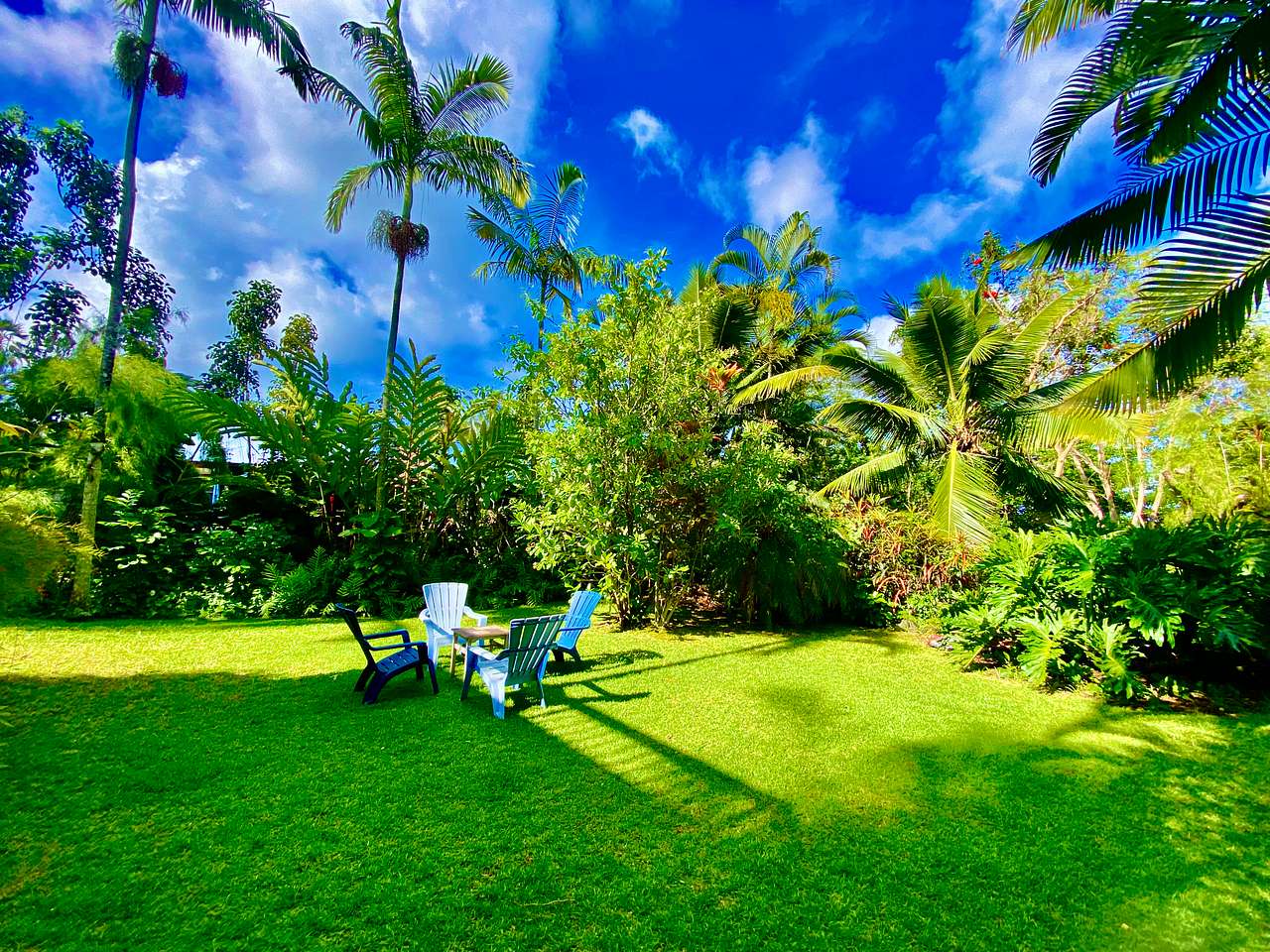 Seating area in the gardens. Surrounded by nature. 