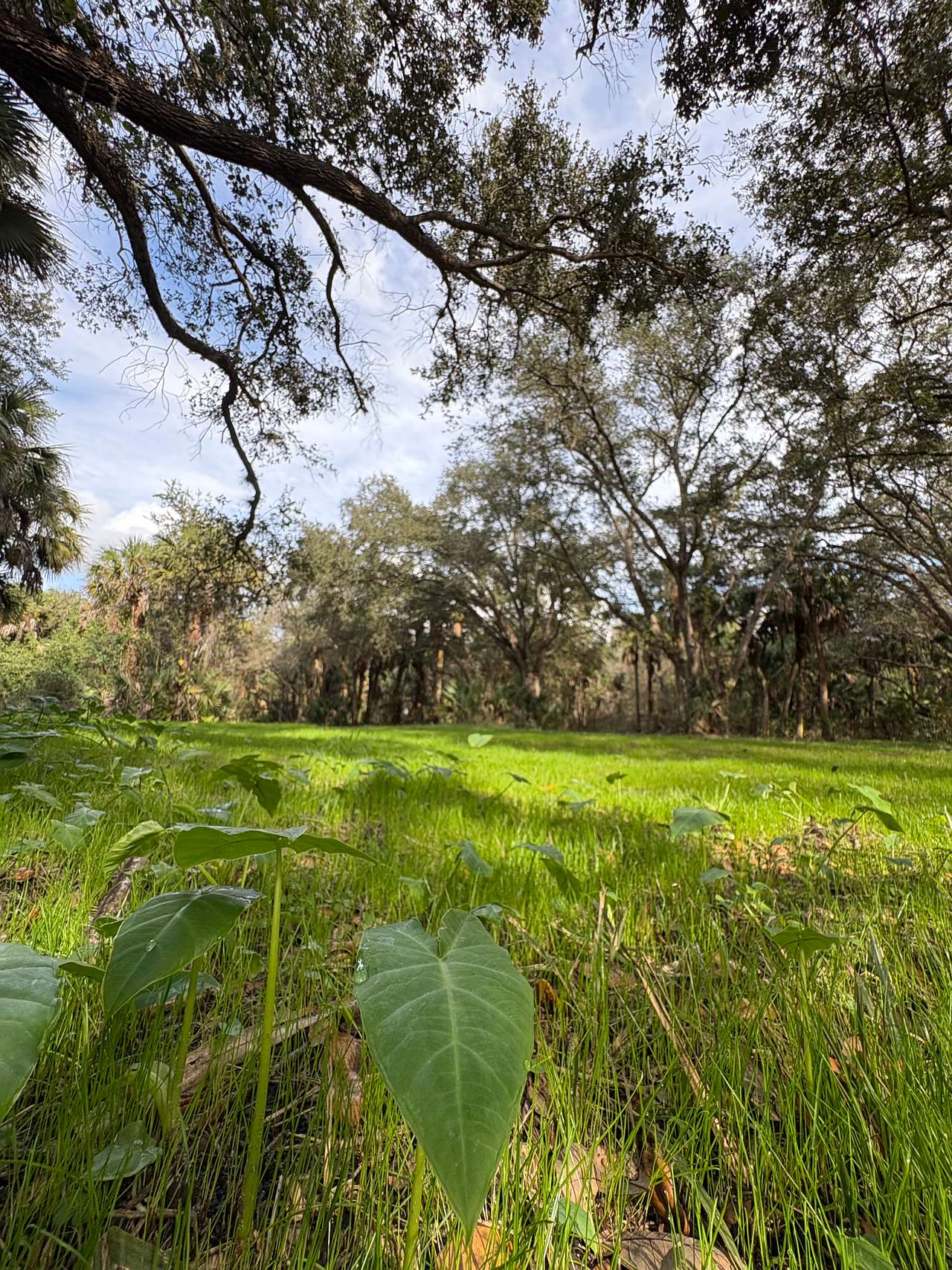 PRIVATE ACRES