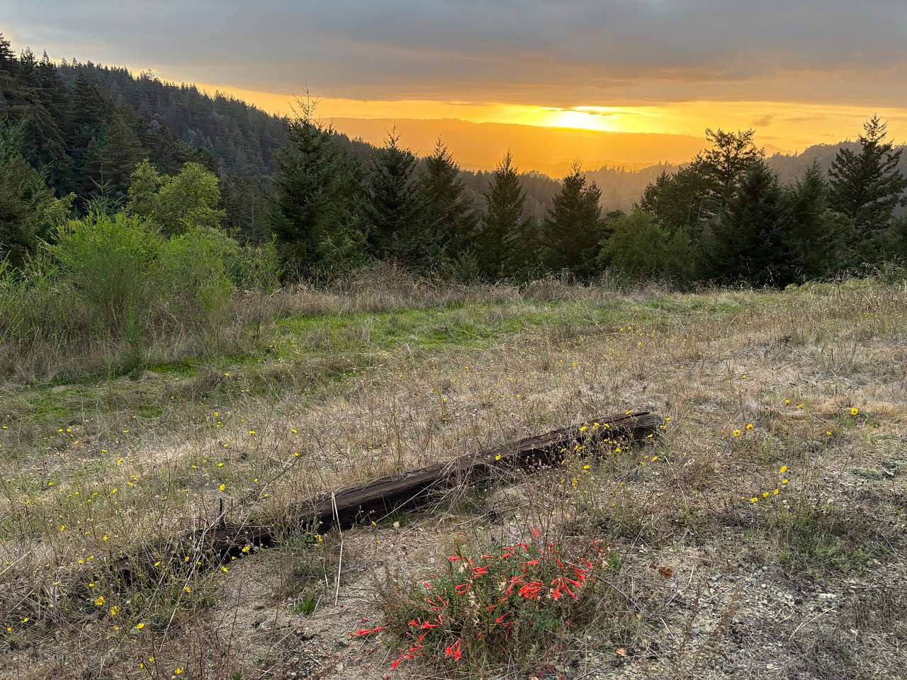 Quail Ridge Farm