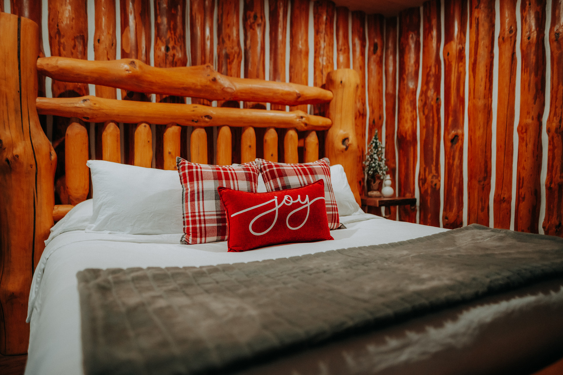 Cosy Log Cabin