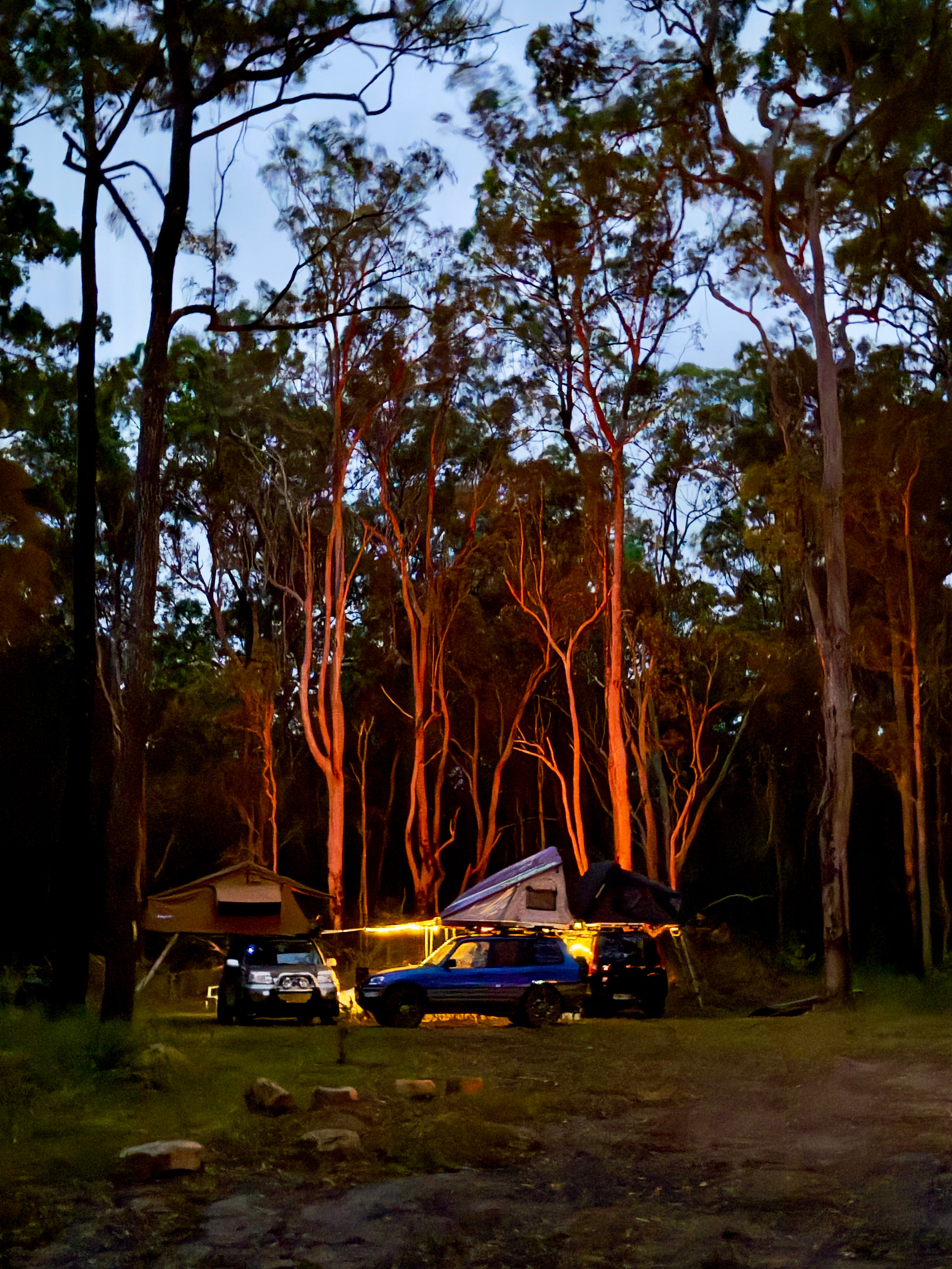 Shark Creek intheBush Camp