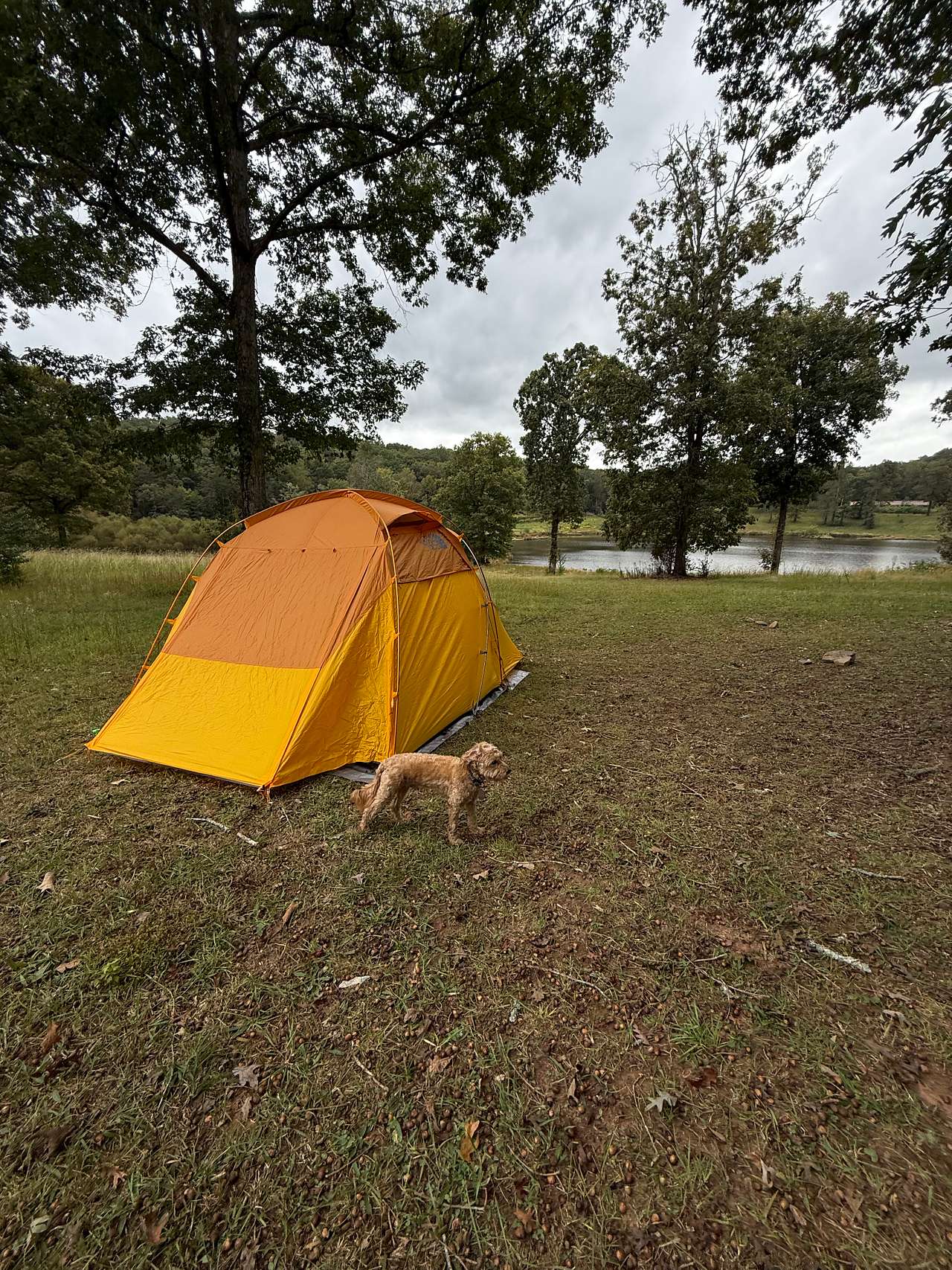 Low Gap Campground