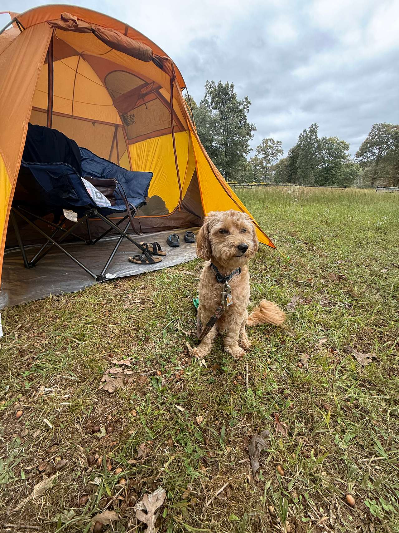 Low Gap Campground