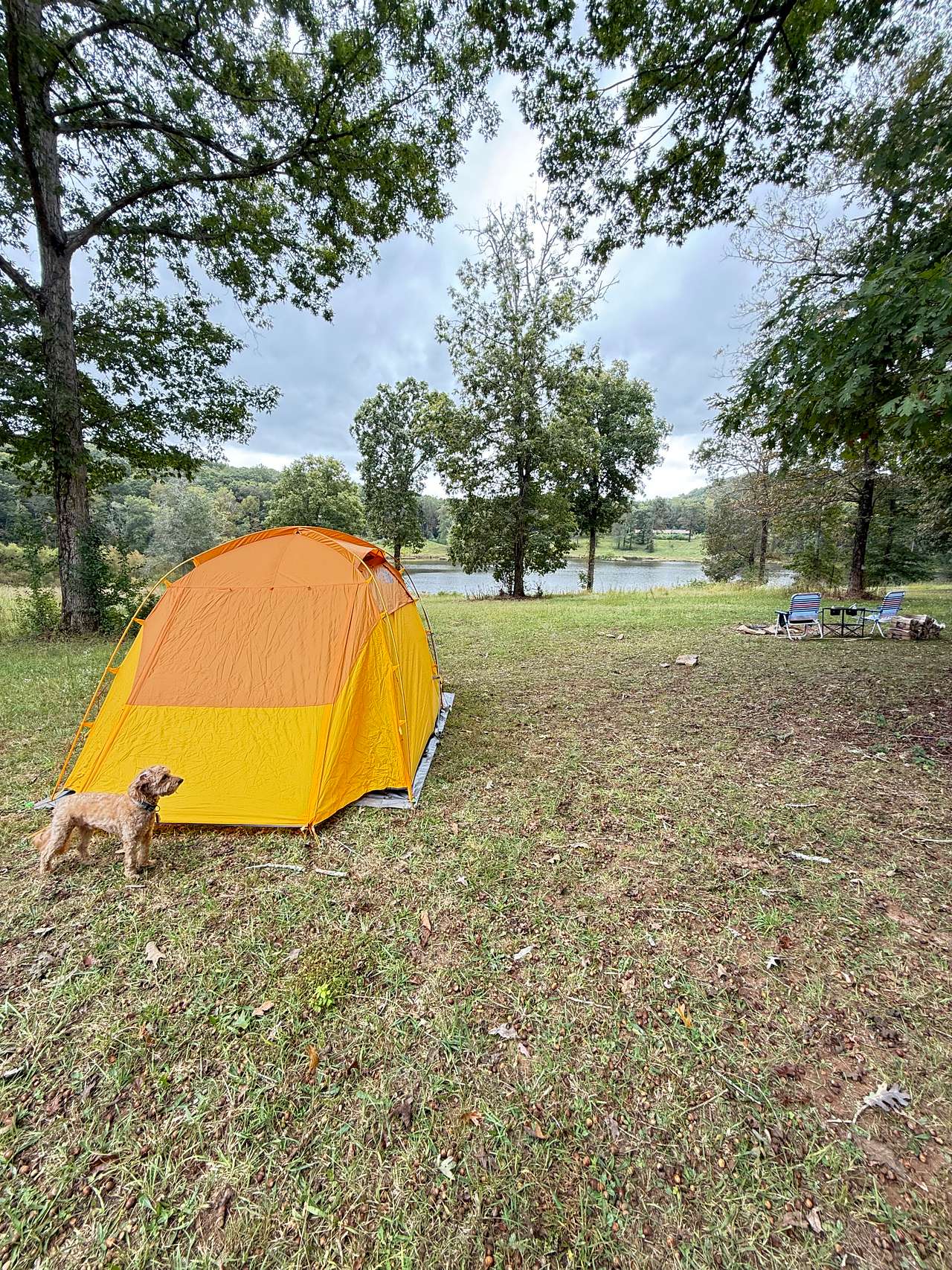 Low Gap Campground