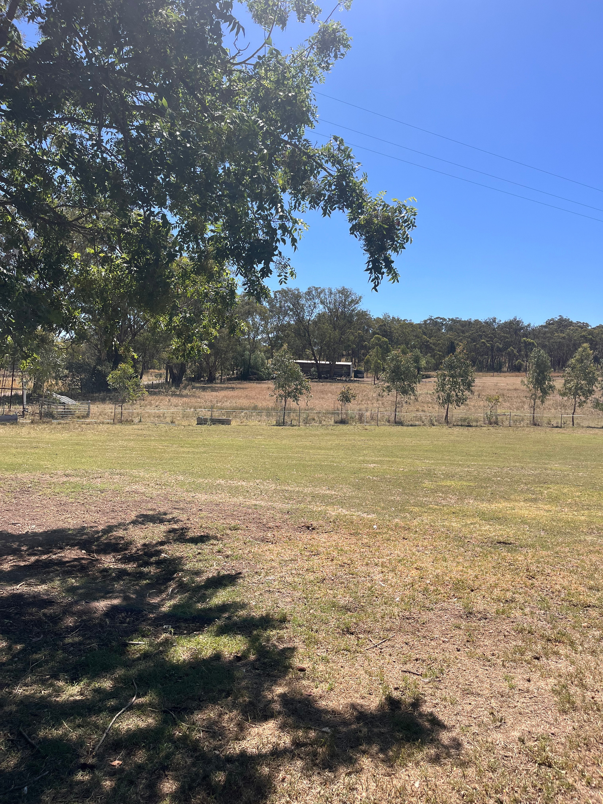 Kurrajong Farmstay
