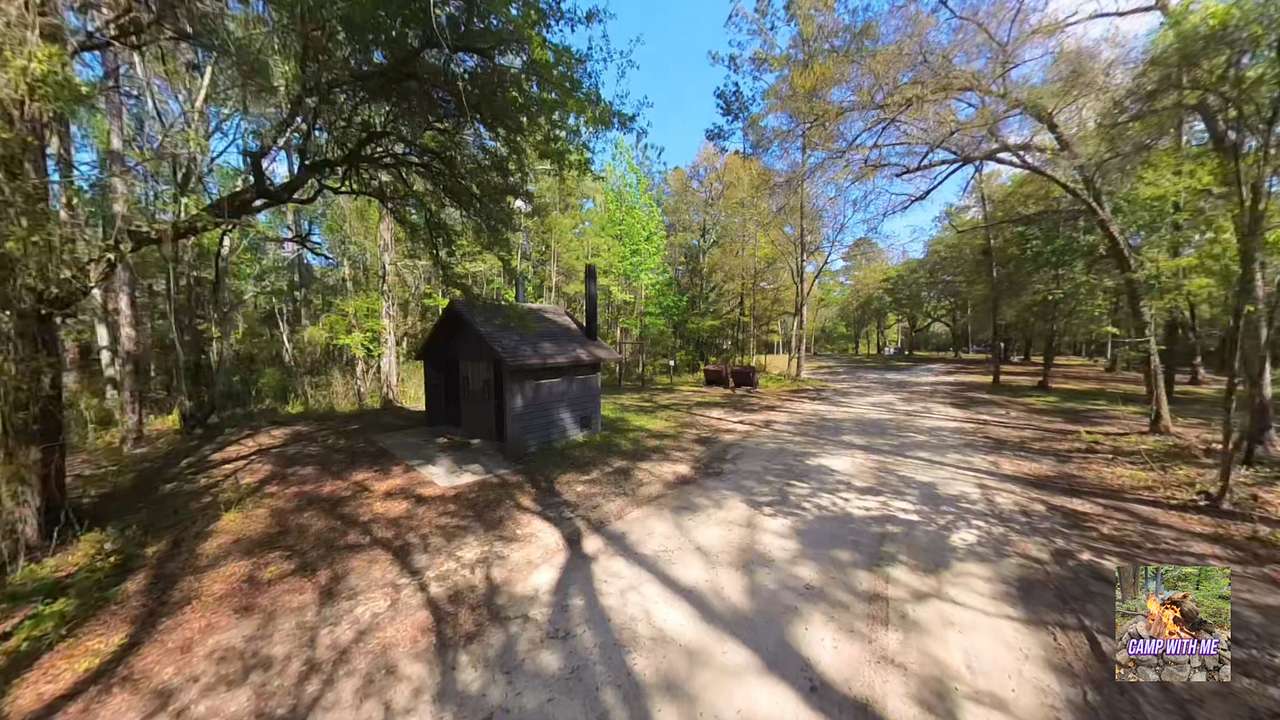 Apalachicola National Forest