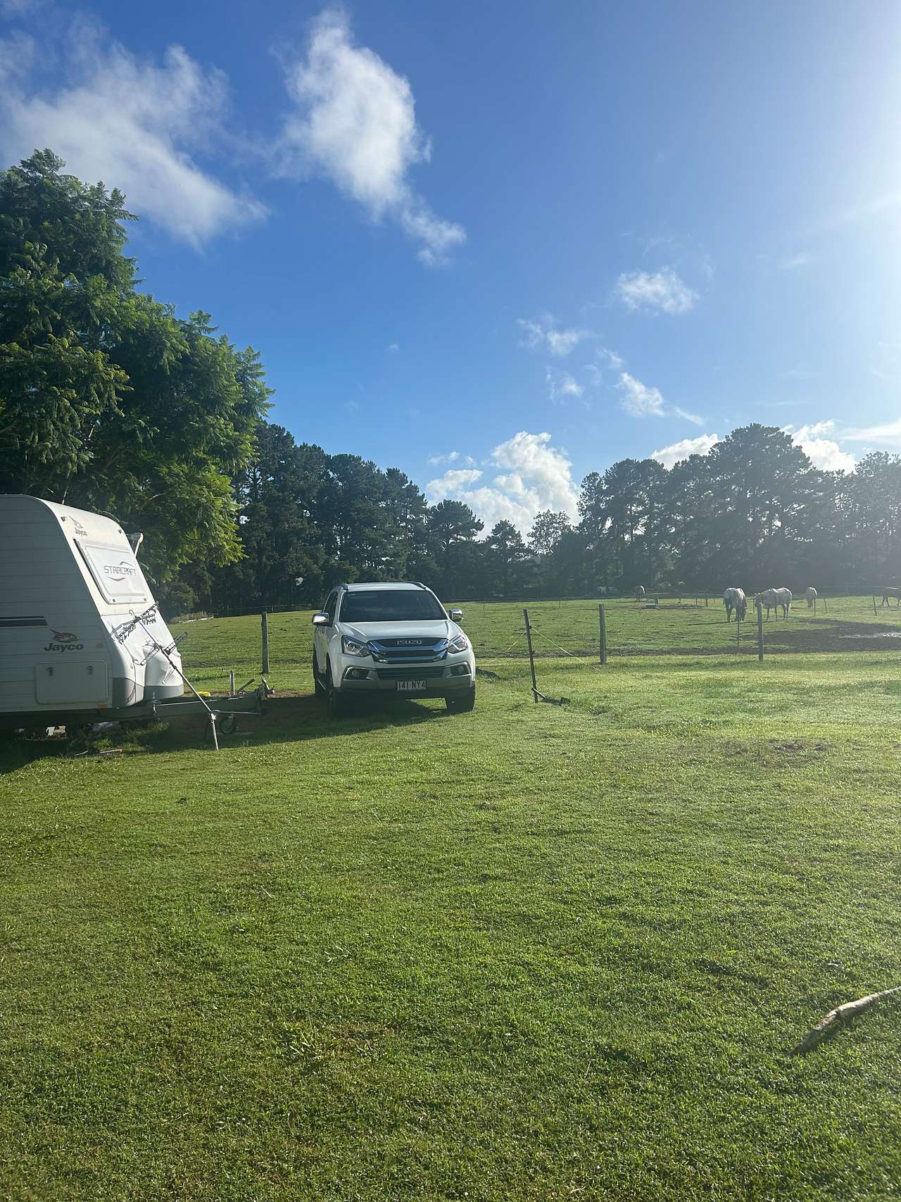Palmwoods Park Horse / Farm Camping