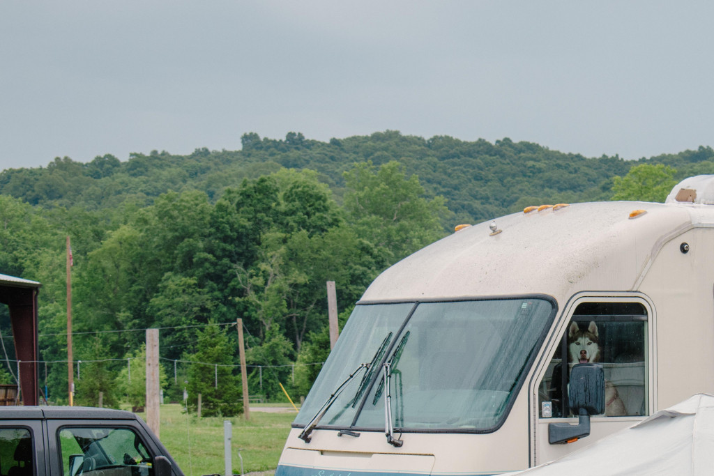 Bring your four-legged camping companions along for the adventure.