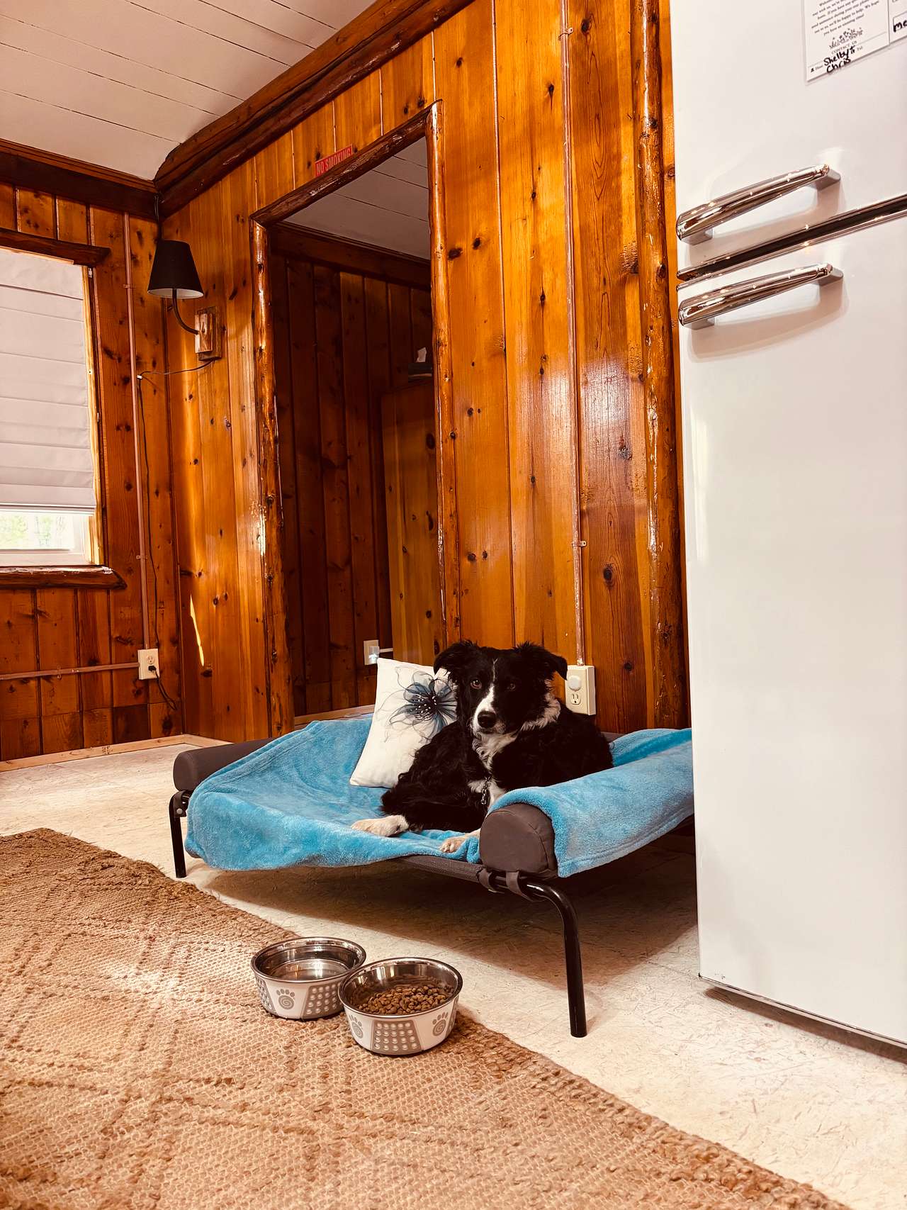 Petfriendly Cottage near Lake Huron