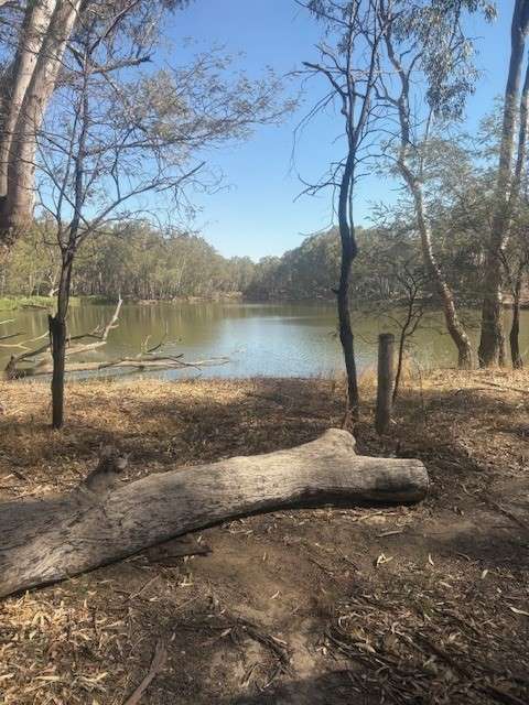 Riverwood Farm