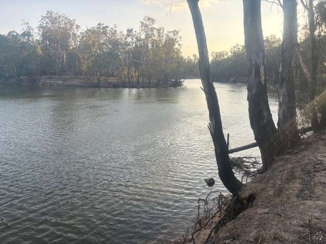 Riverwood Farm