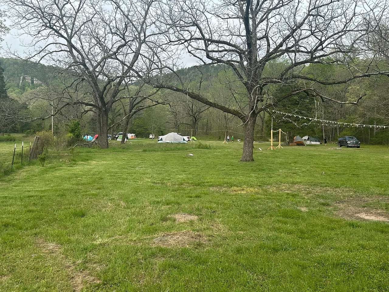 Sounds Of The Meadow
