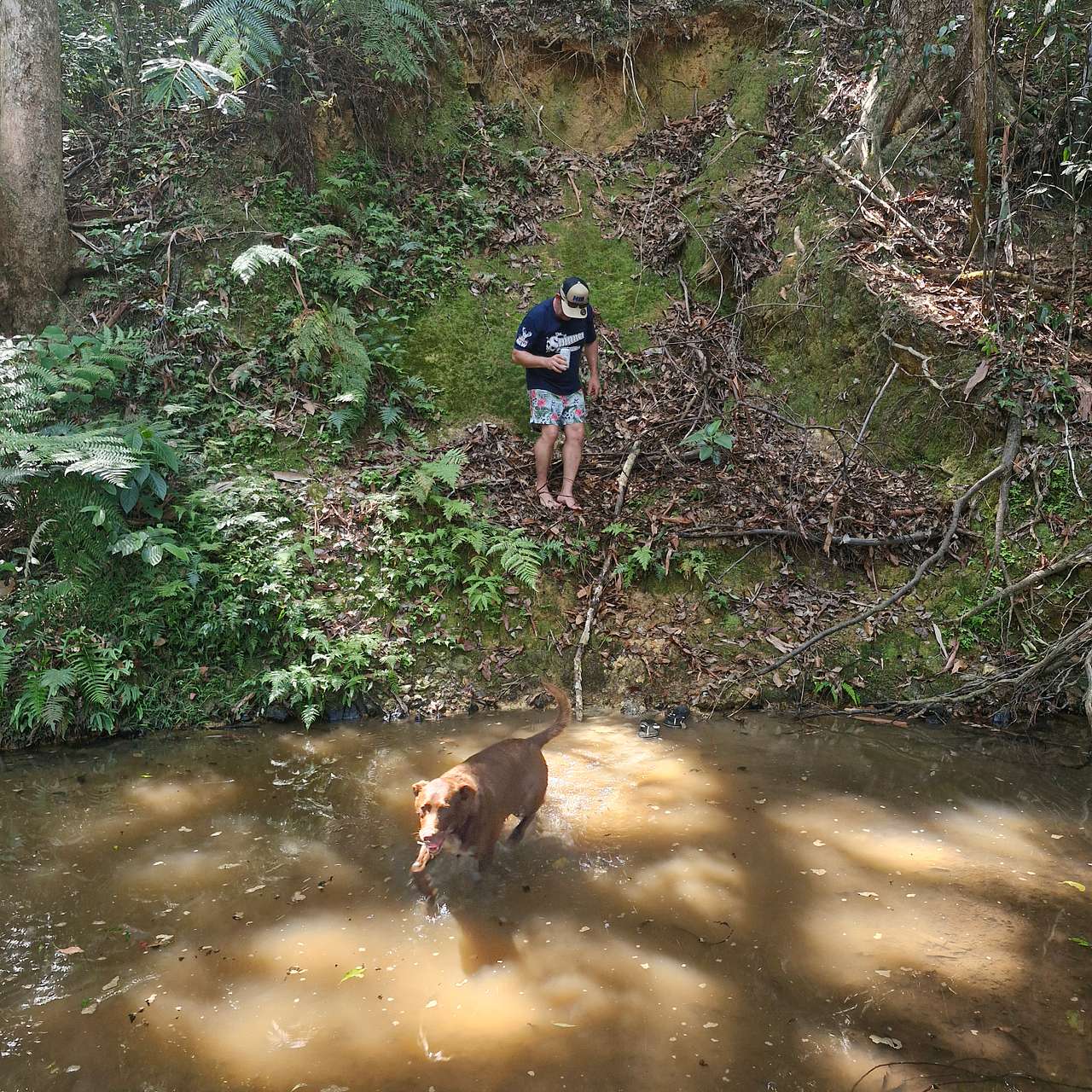 Burringbar Camping - The Haven