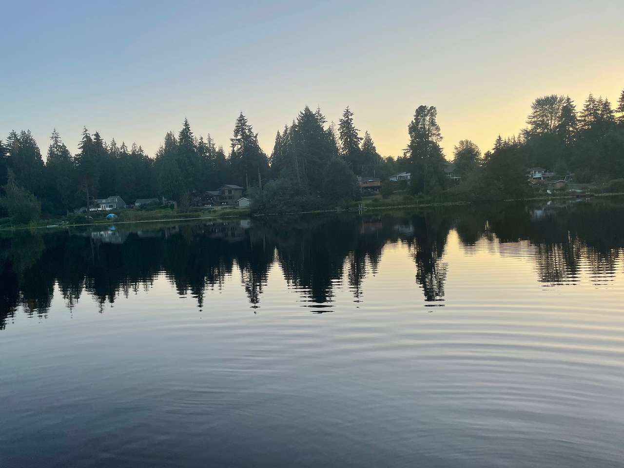 Fish Swim Serene Lake Great Location