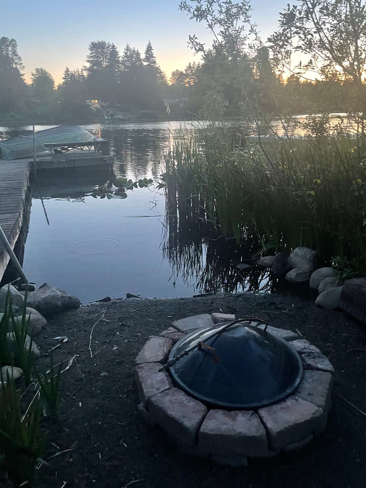 Fish Swim Serene Lake Great Location