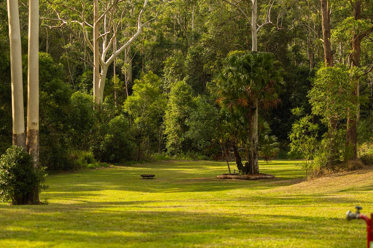 Group camp area