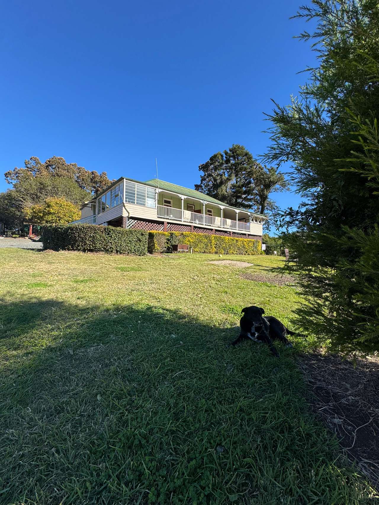 Cedar Glen Farmstay