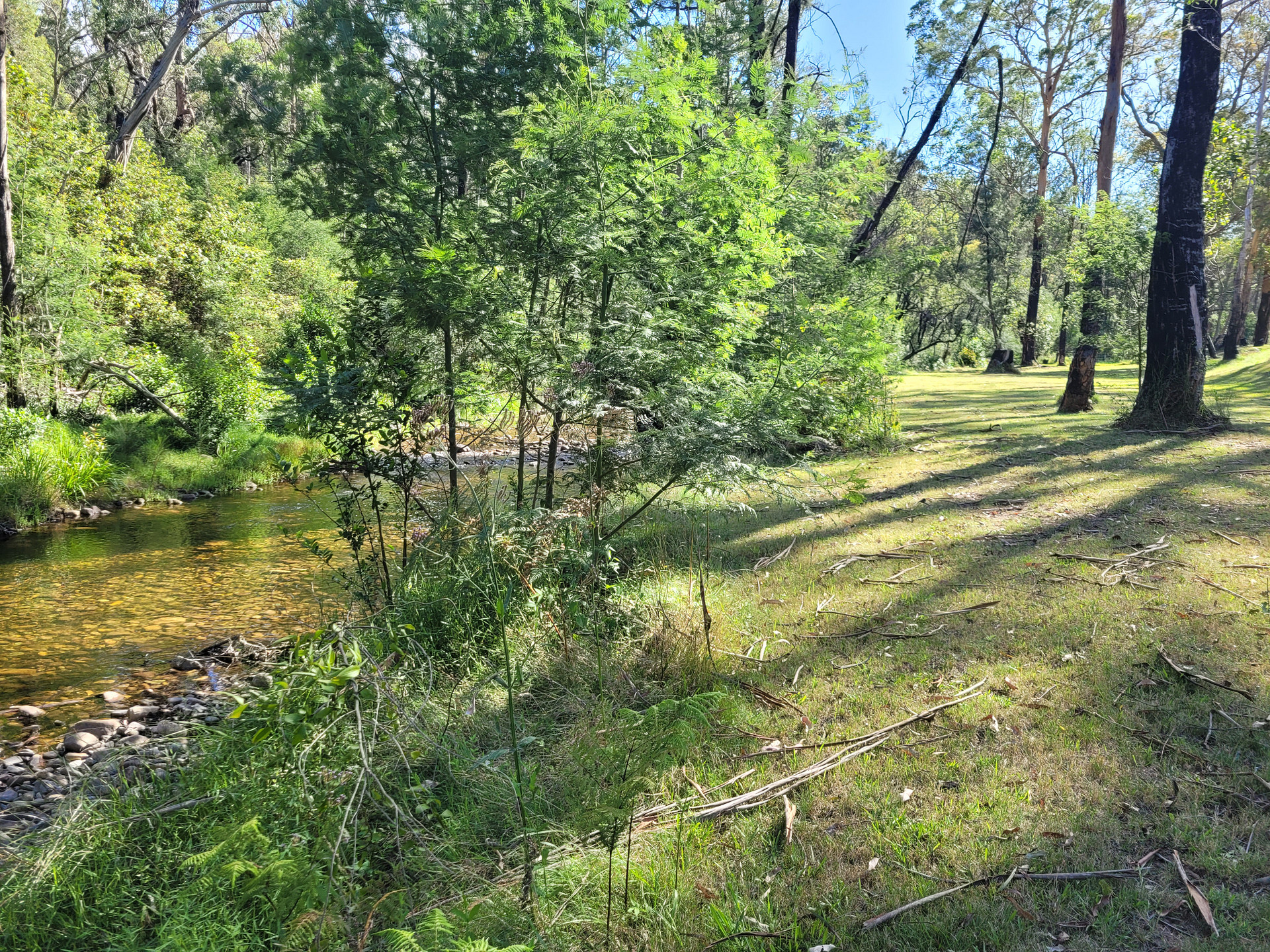 Riverdell Campgrounds