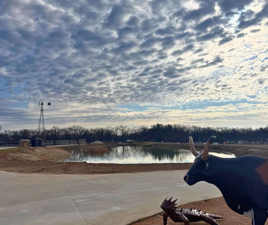 Legacy Longhorn Ranch And RV Resort