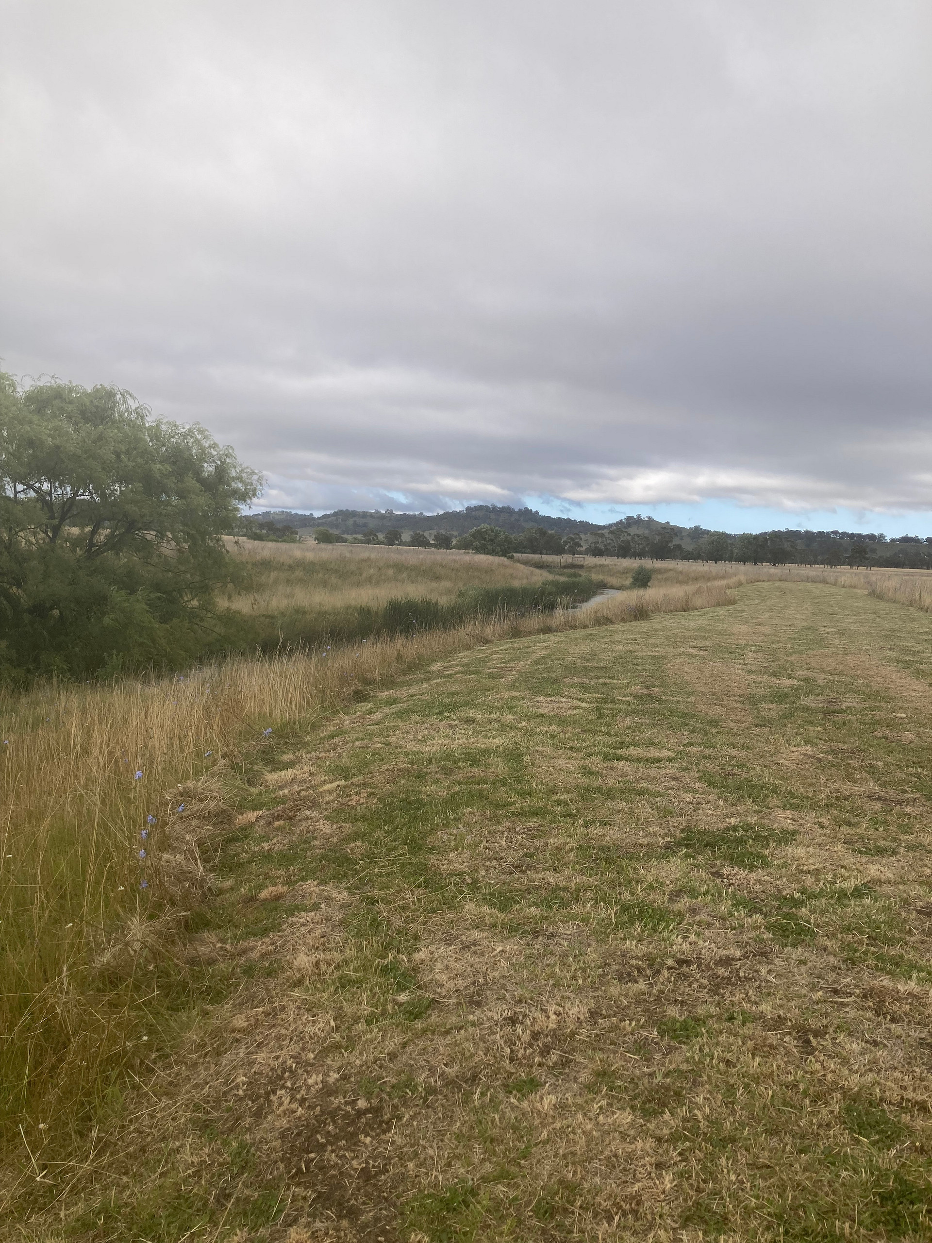 Glen Innes - "Furracabad Creek"