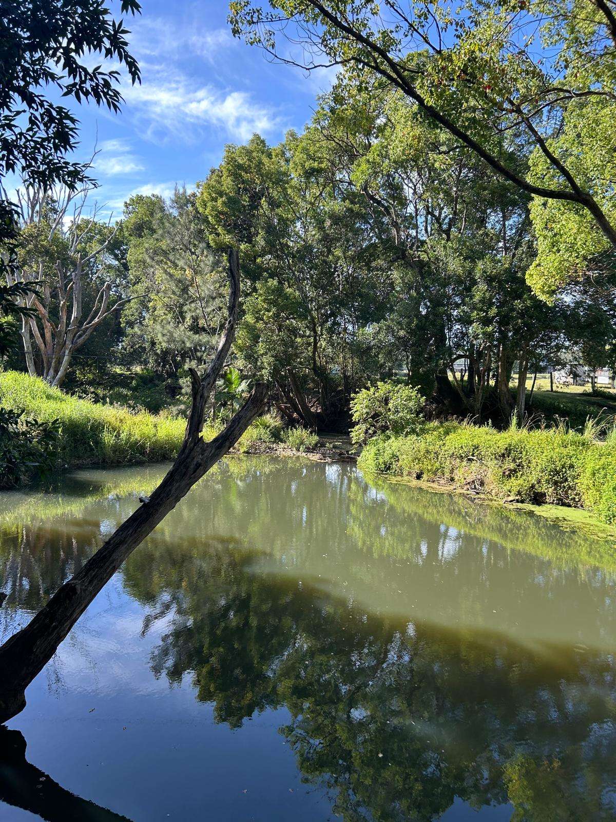Local water hole next to camping spots