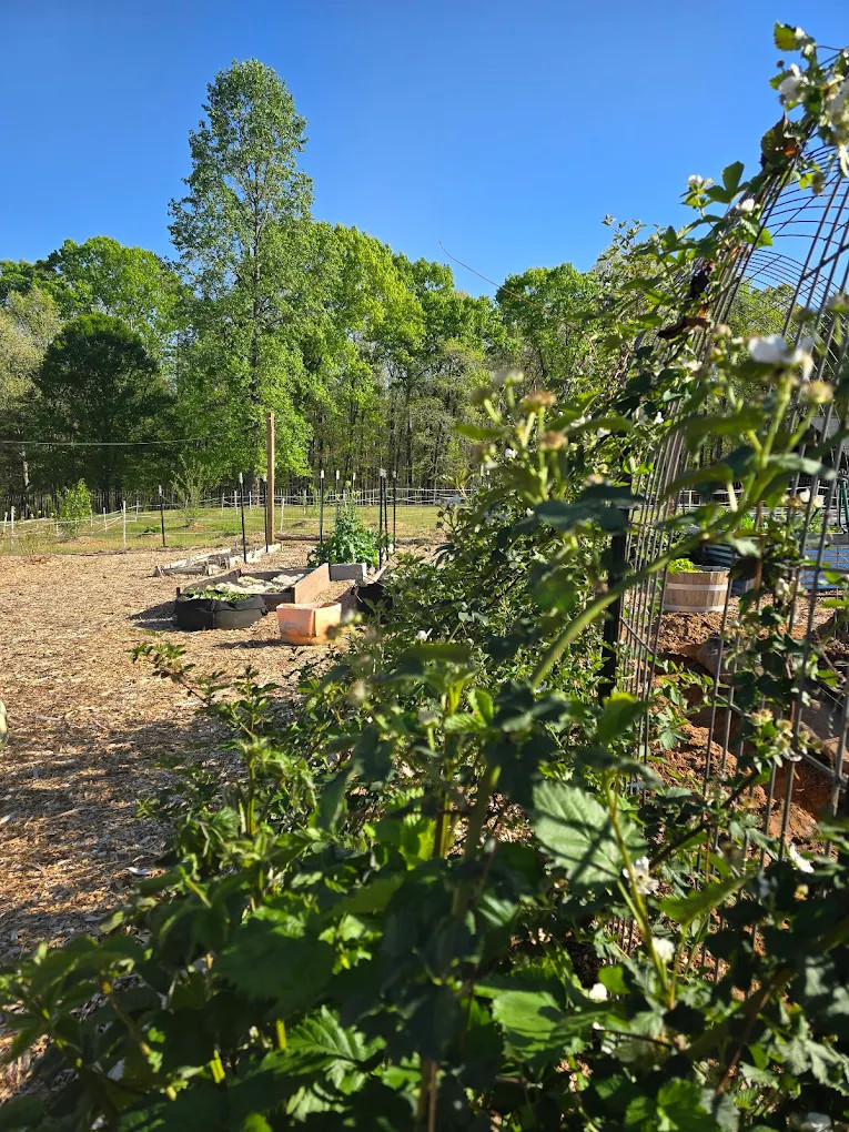 Ewe on the Farm - Apartment