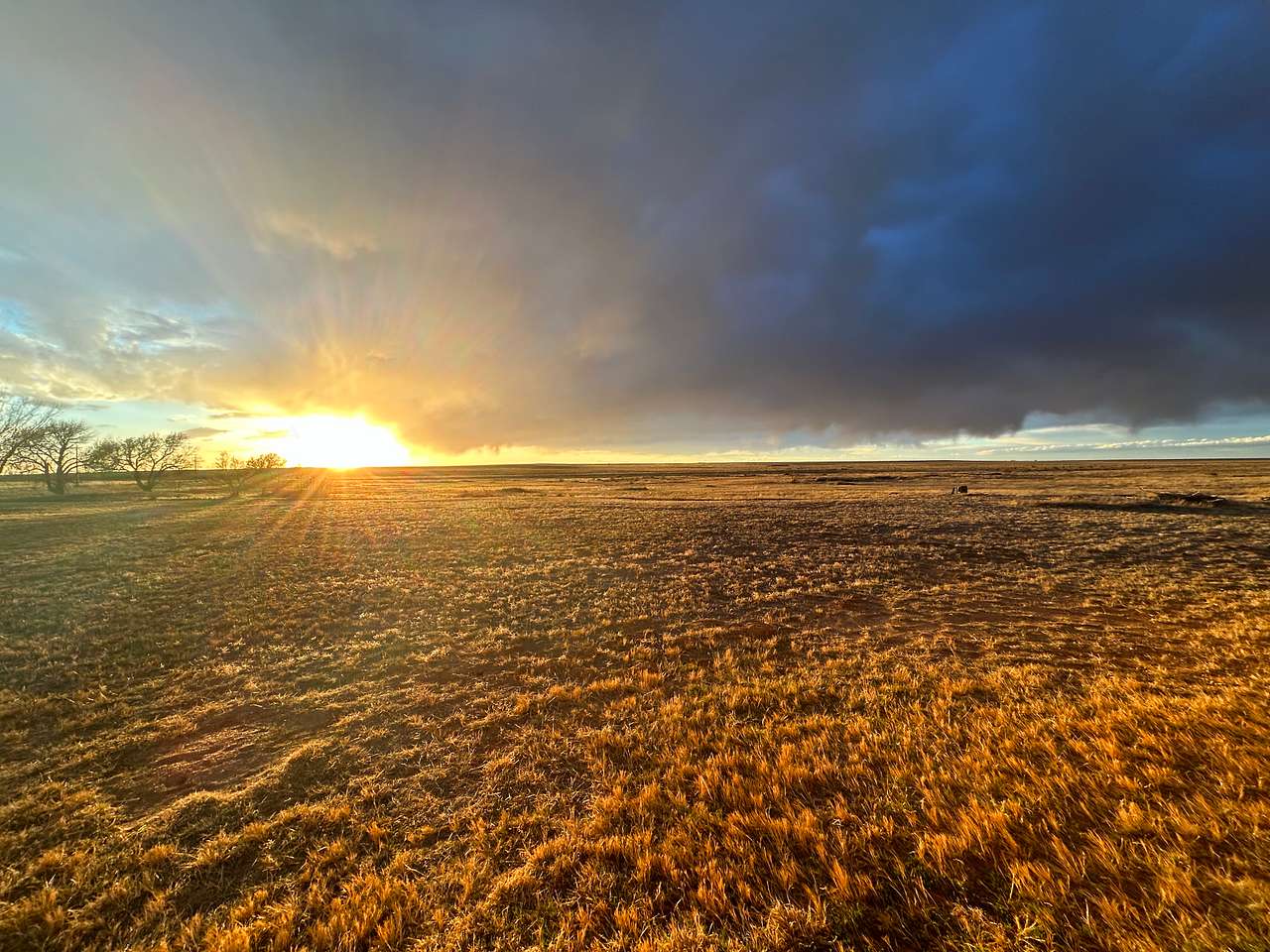 Starlet Pastures