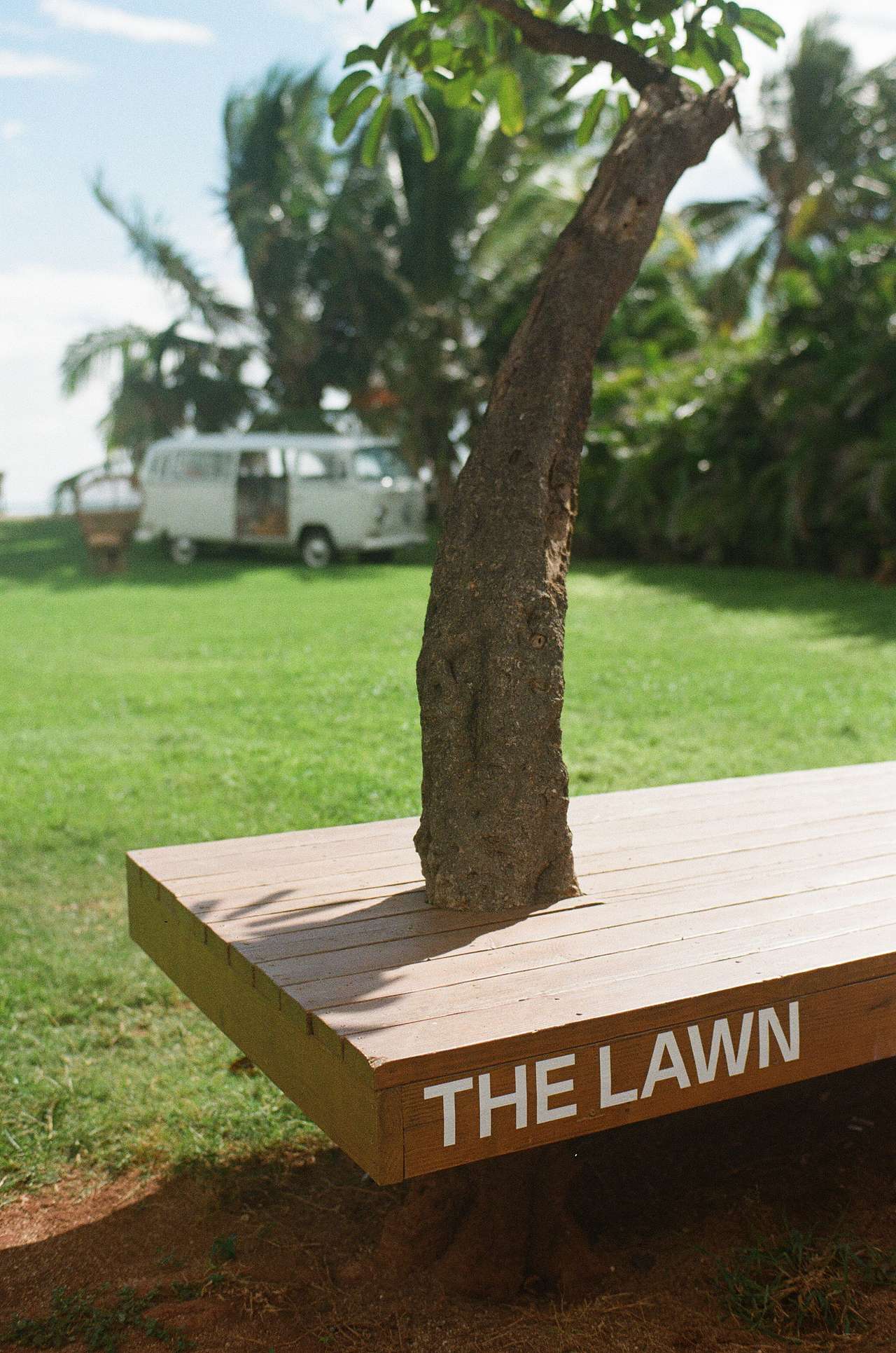 The Lawn On The South Shore
