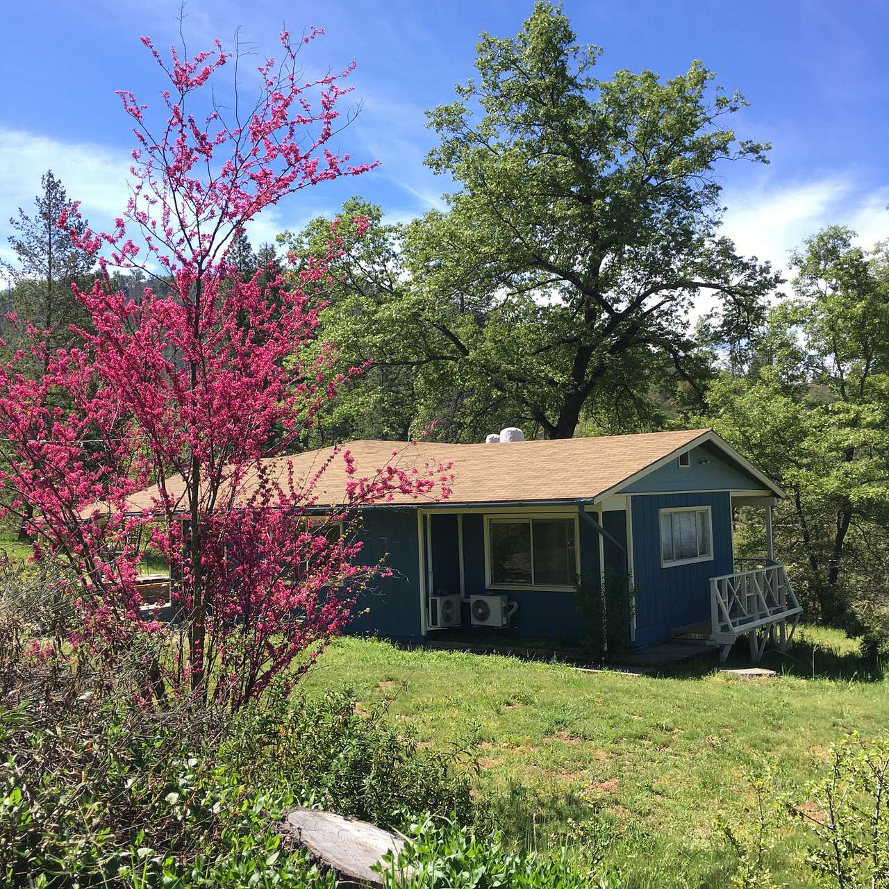 Little Blue House