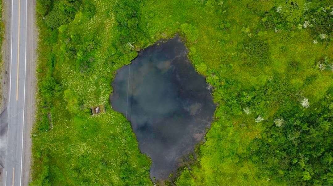 Sisi Farm @ Guilford Lake NY State