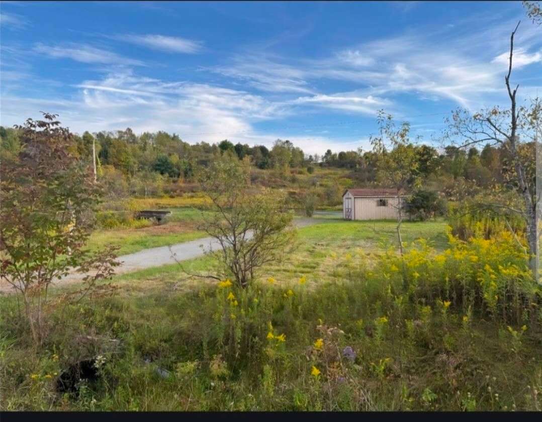 Sisi Farm @ Guilford Lake NY State