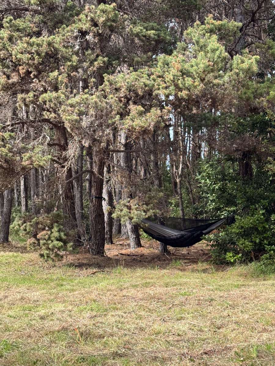 Camp Candy Cap - Coastal Paradise