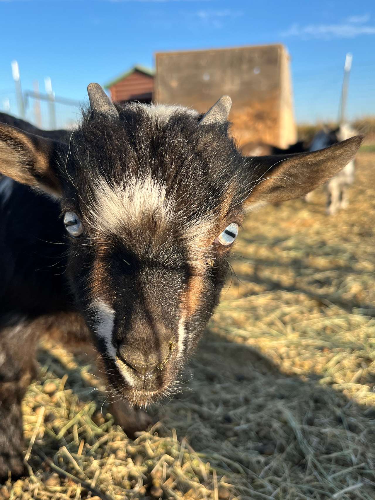Hobby Farm Oasis