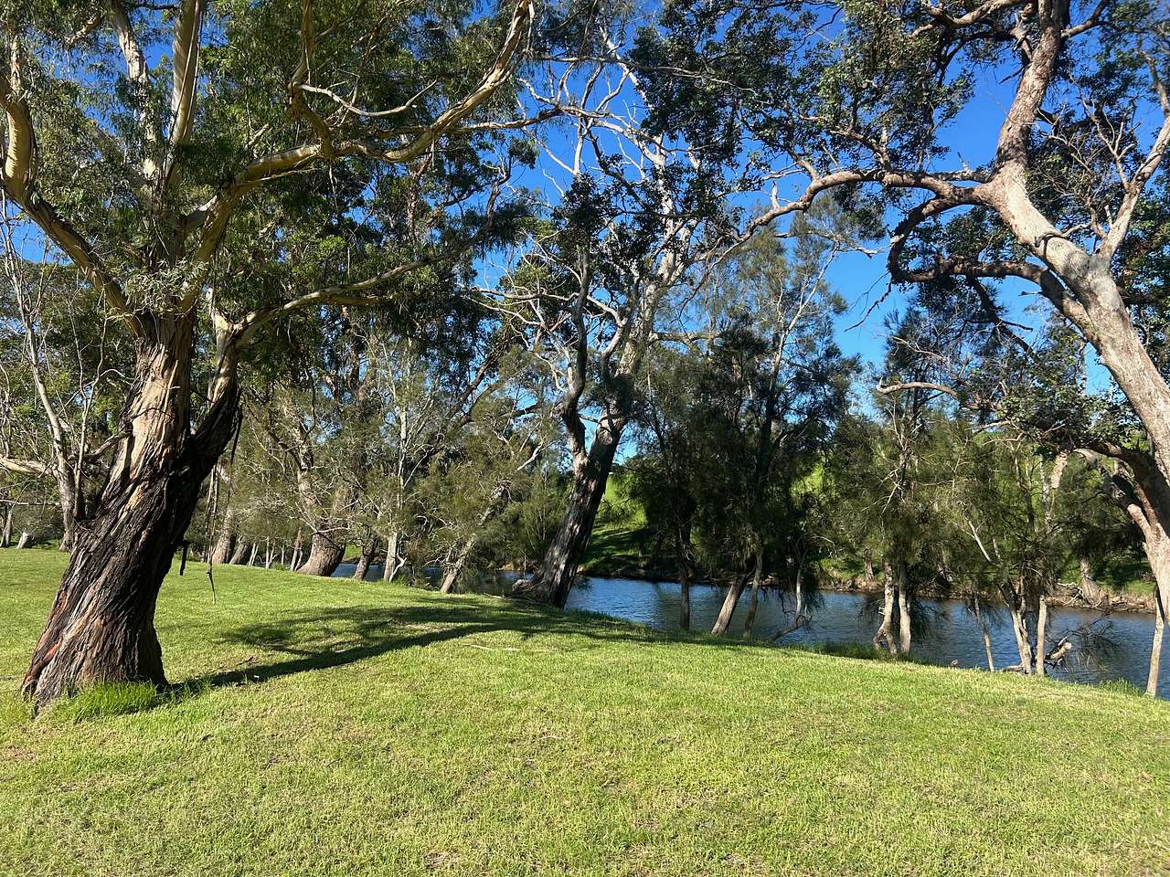 Stony Creek Camping