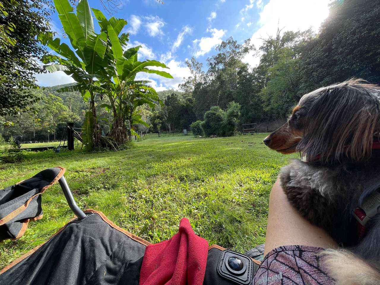 Morning meditations.