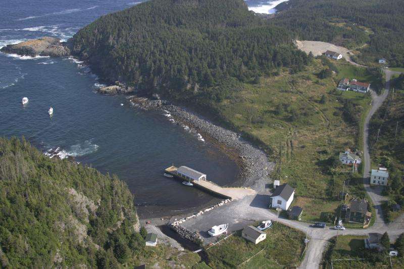 East Coast Newfoundland Cottage & Cabins