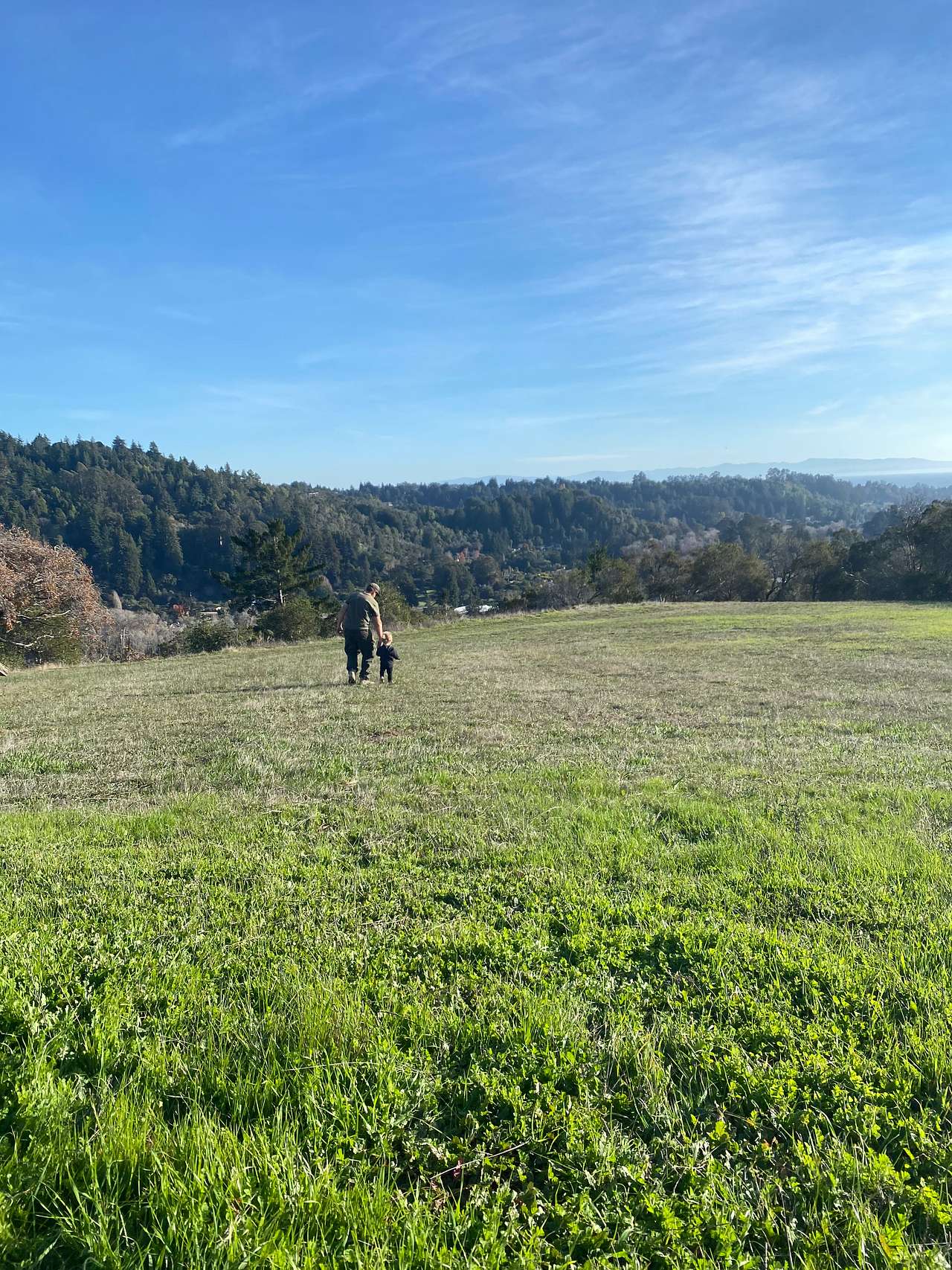 Peaceful Soquel Beach Rv Campground