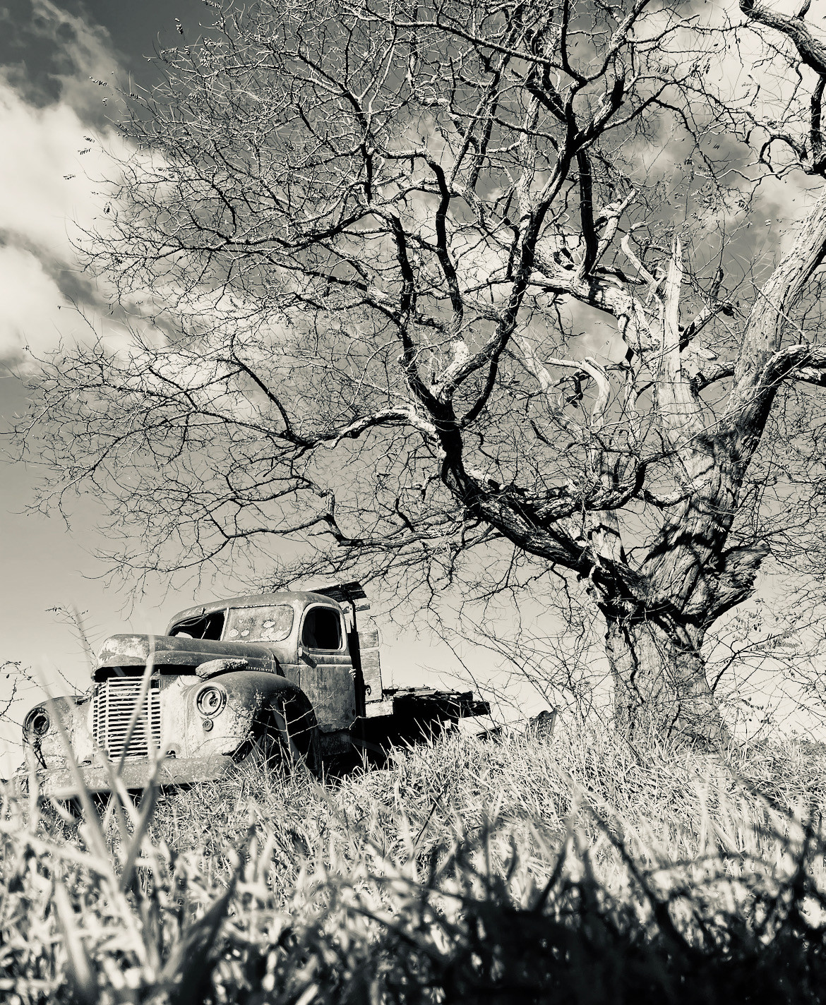 Joadja Notlaw Orchard