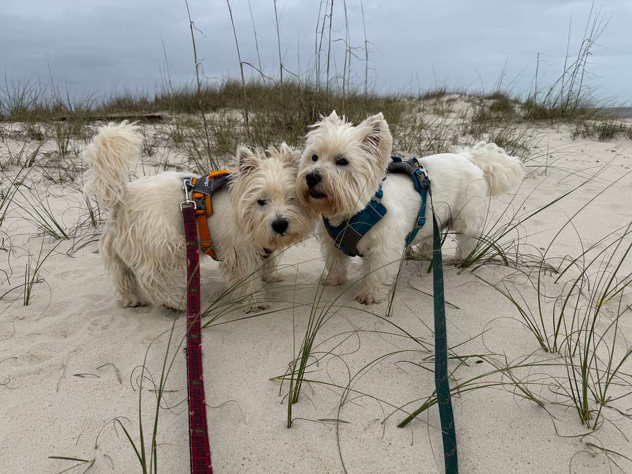 RV Spots in and around Cape San Blas
