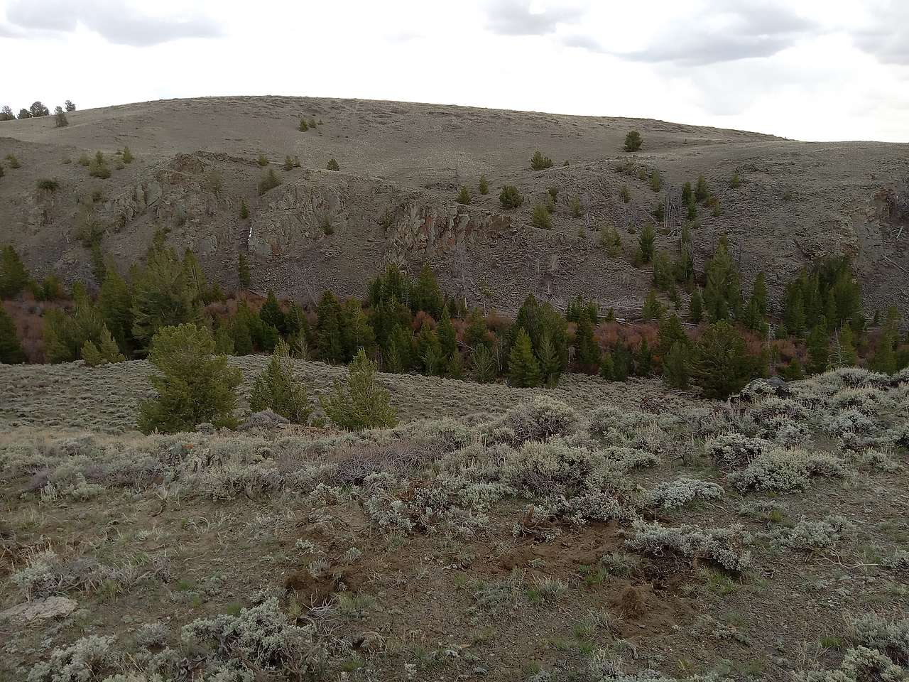 South Pass Camp