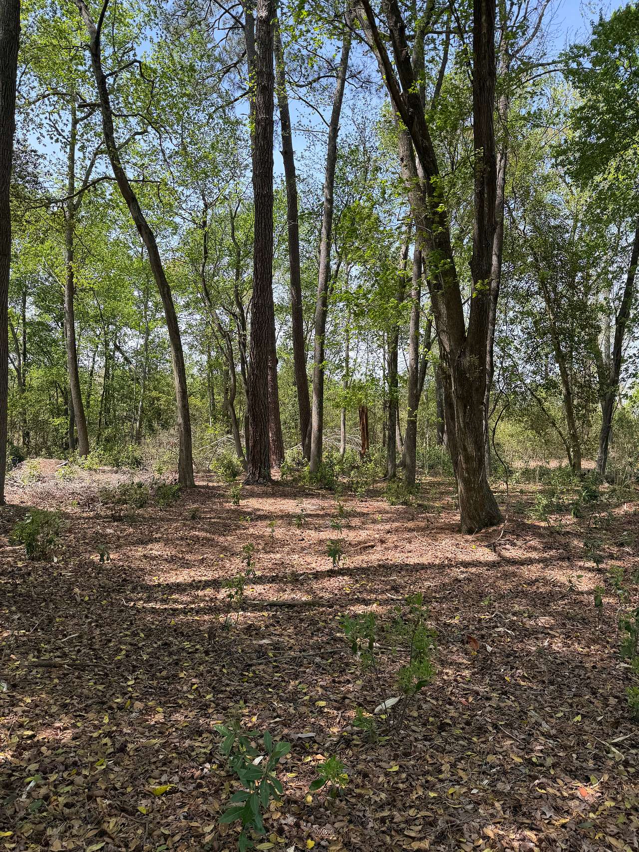 Camp Waypoint