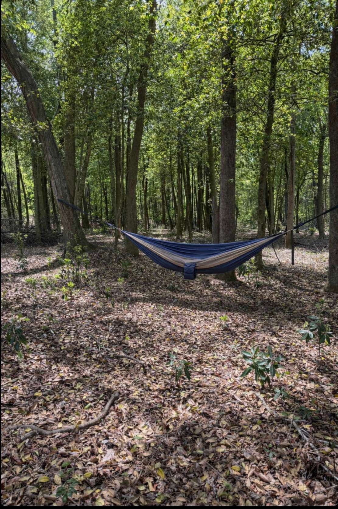 Camp Waypoint