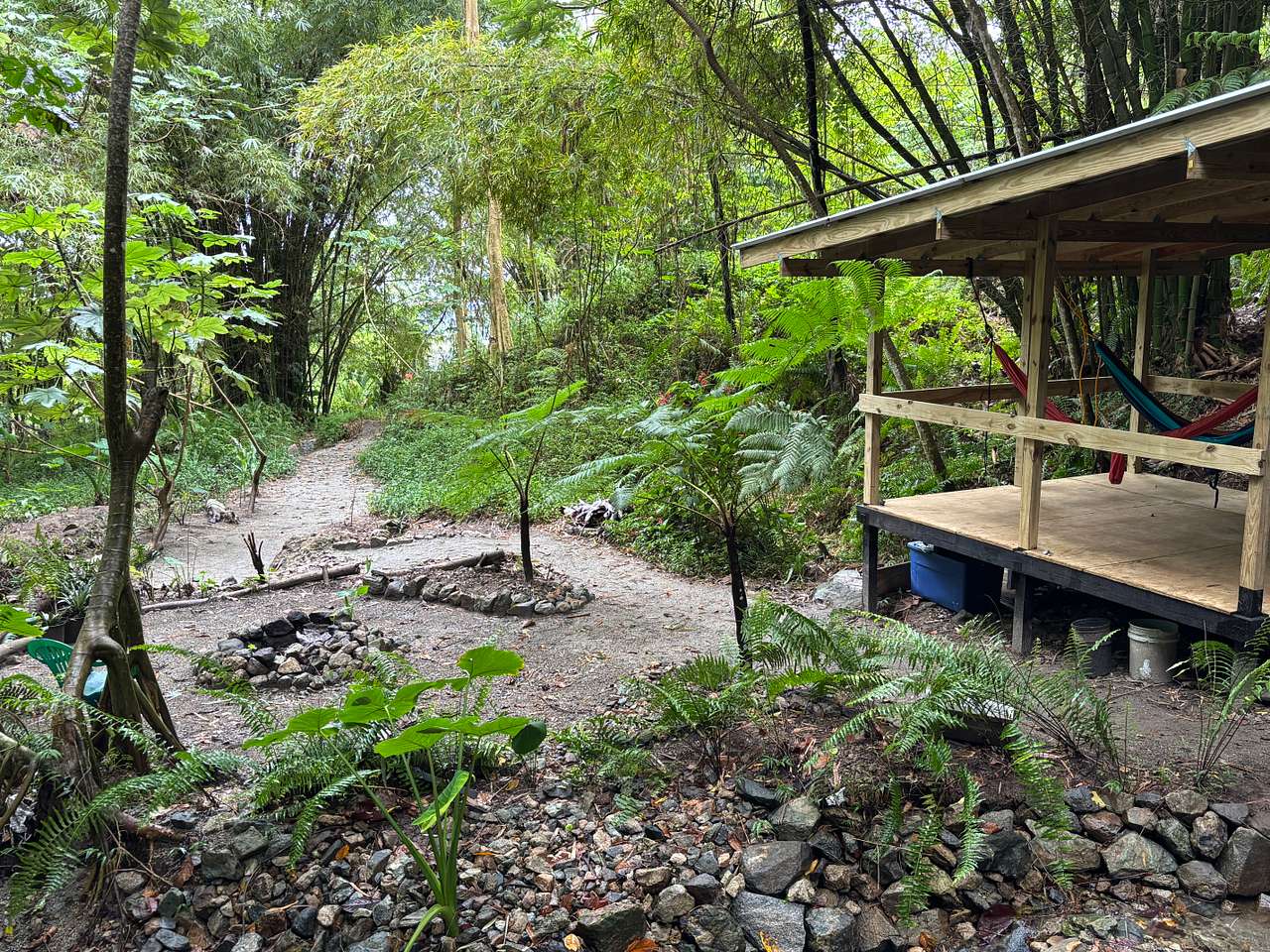 Rainforest Camping @ Verde Yuke