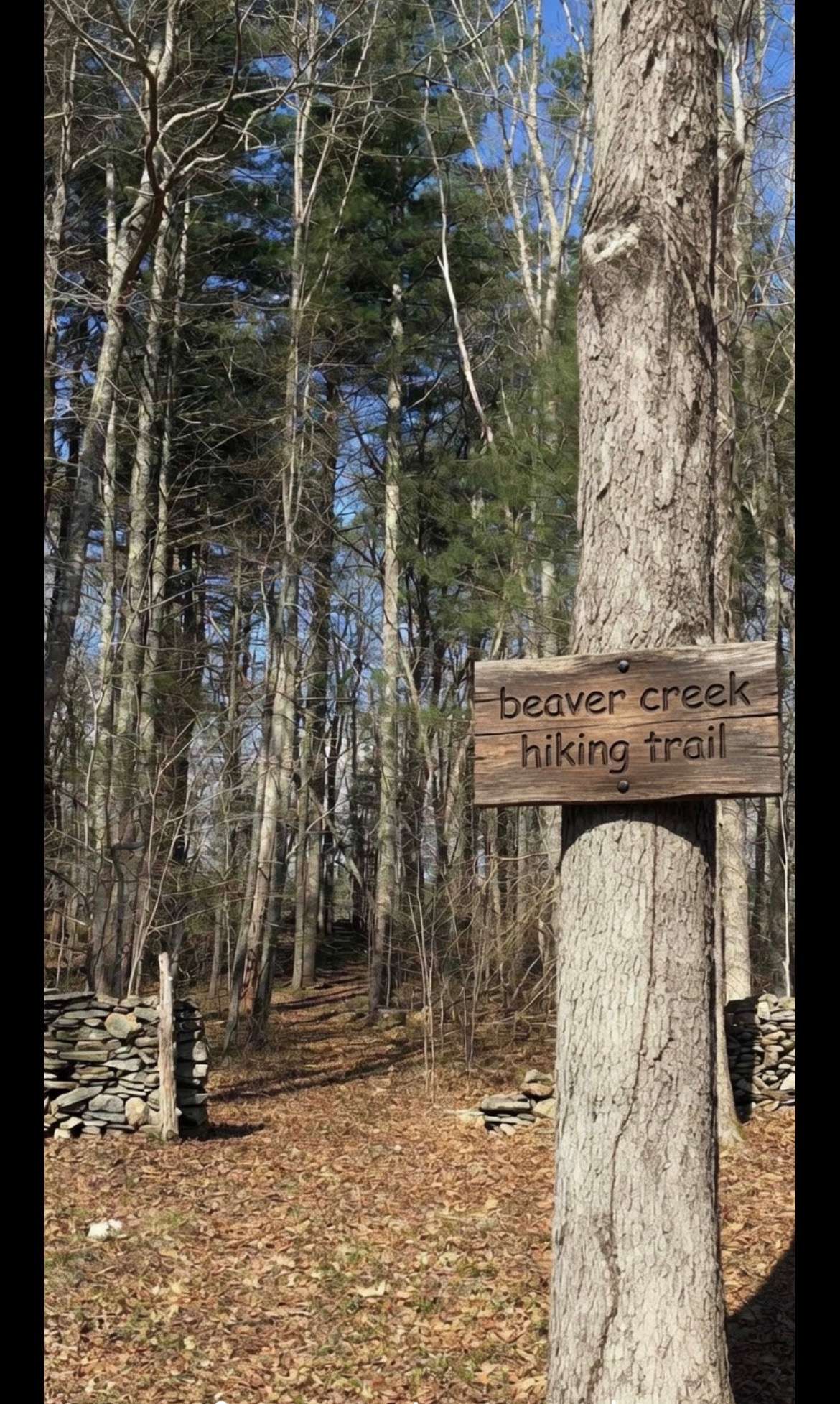 Beaver Creek