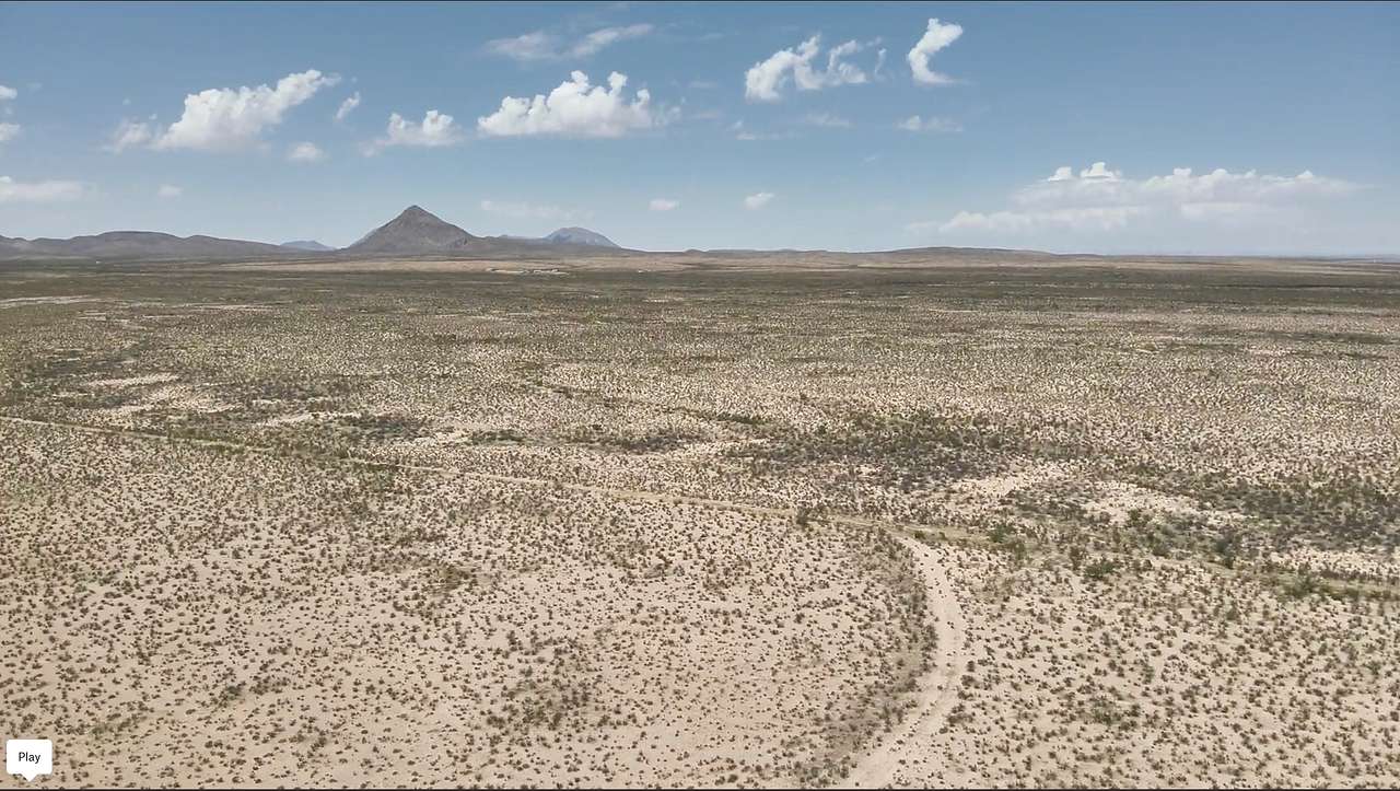Desert Oasis