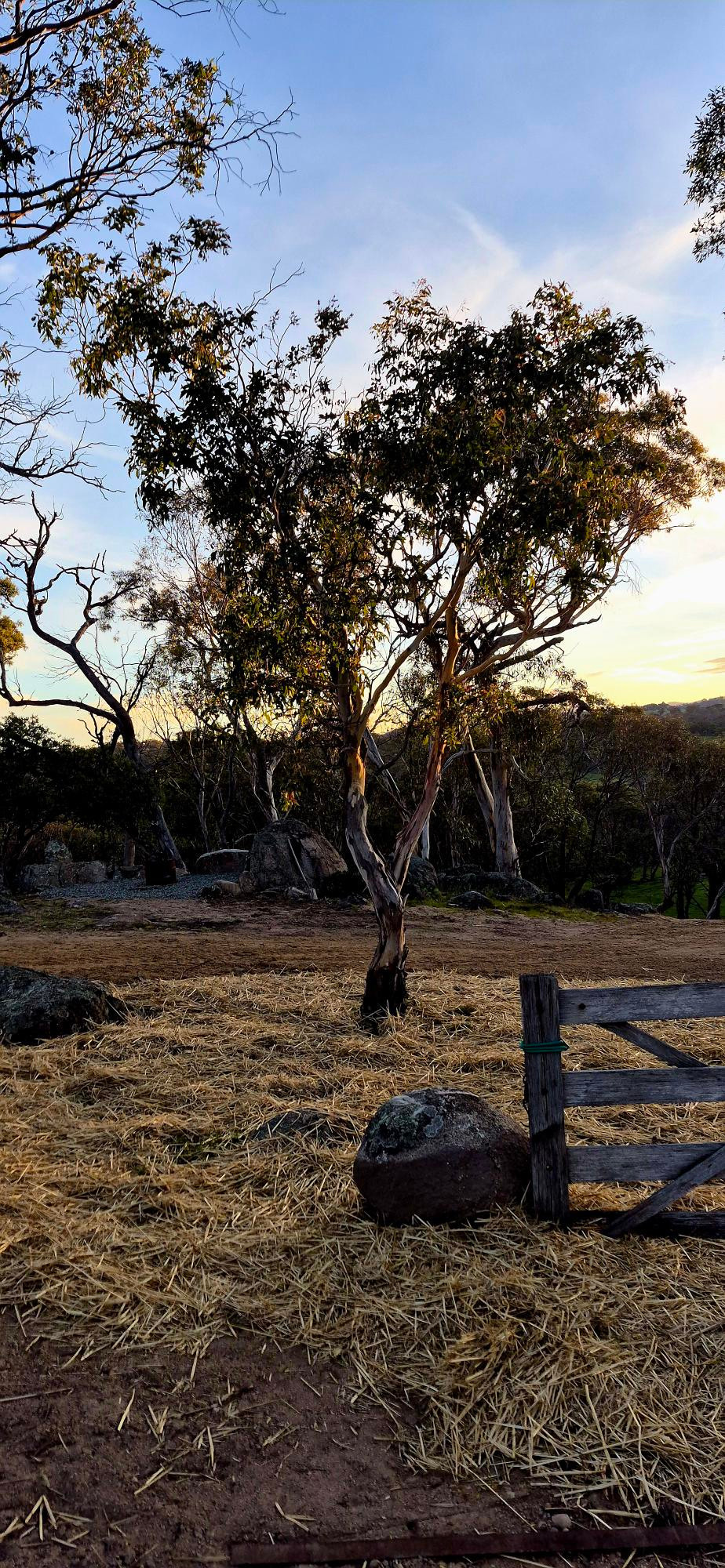 Ironpot Farmstay, Jindabyne