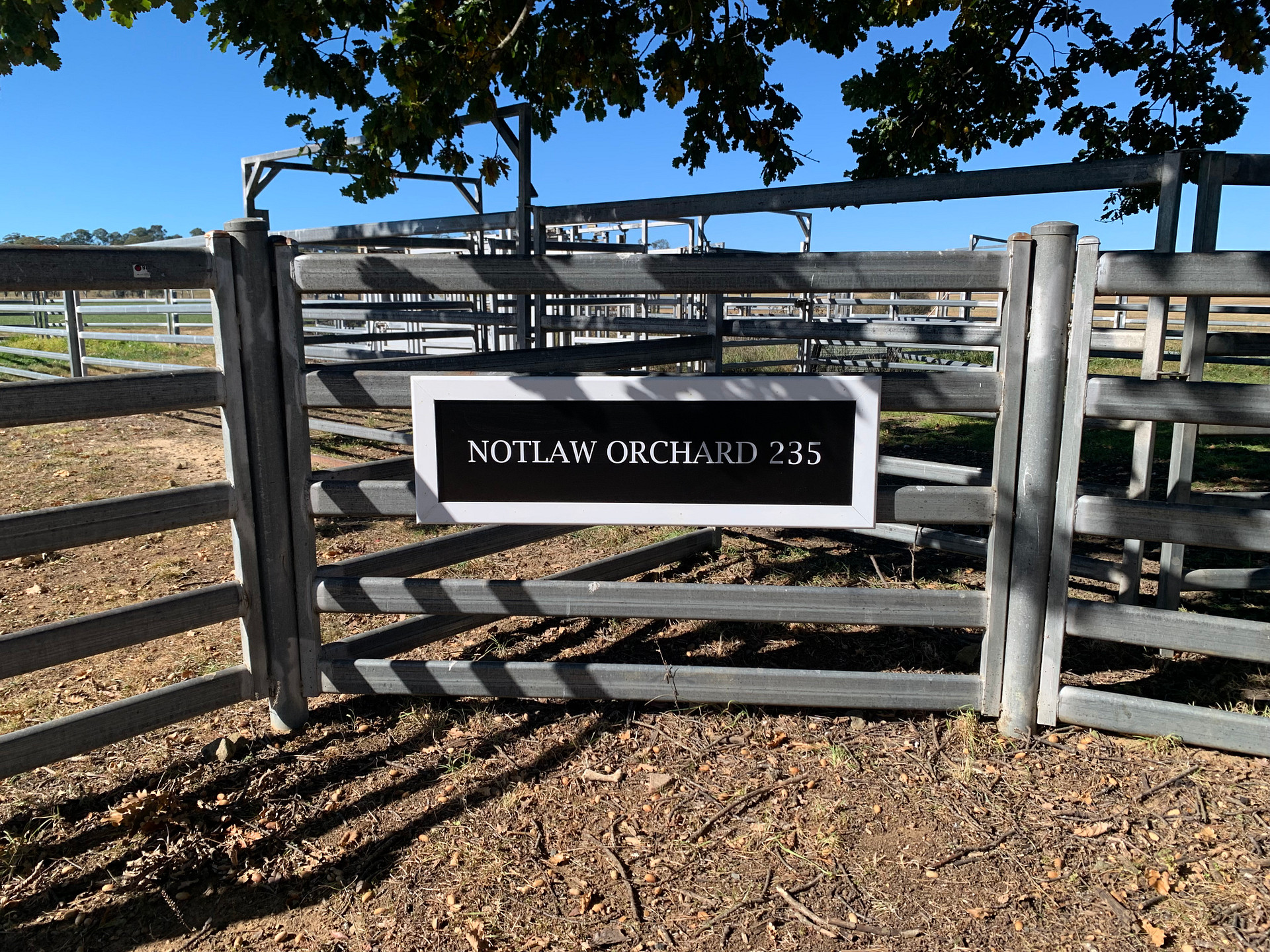 Joadja Notlaw Orchard