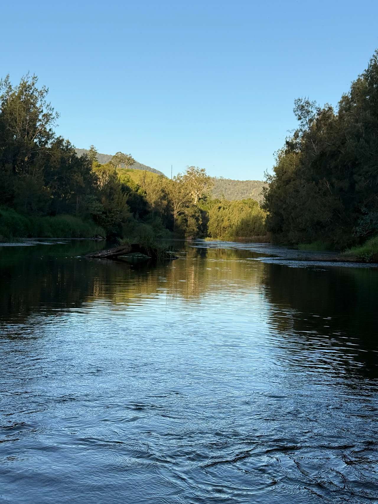Swimming spot right near campsite